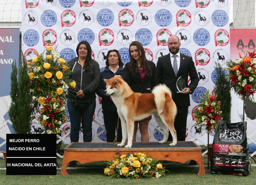 MEJOR PERRO NACIDO PODIO.JPG